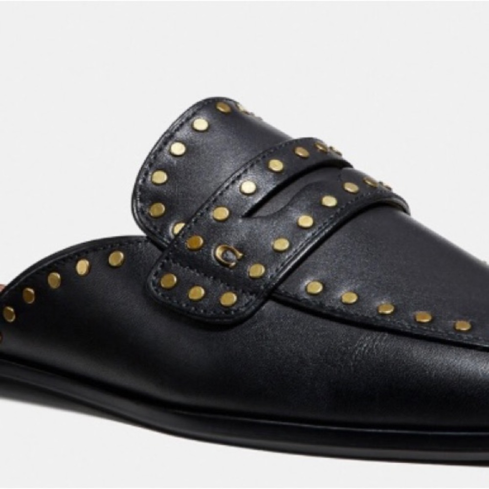 Coach Faye Gold and black slides.